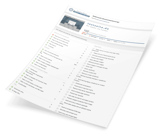 Webseitencheck DinA4